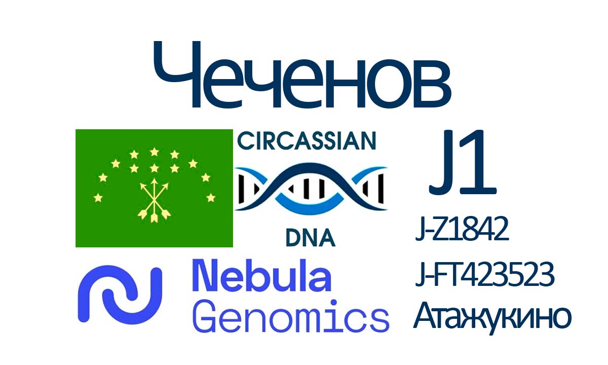 Чеченов днк