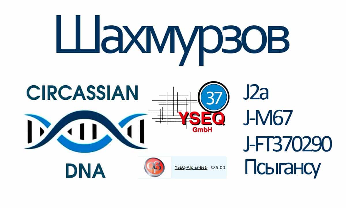 Шахмурзов днк