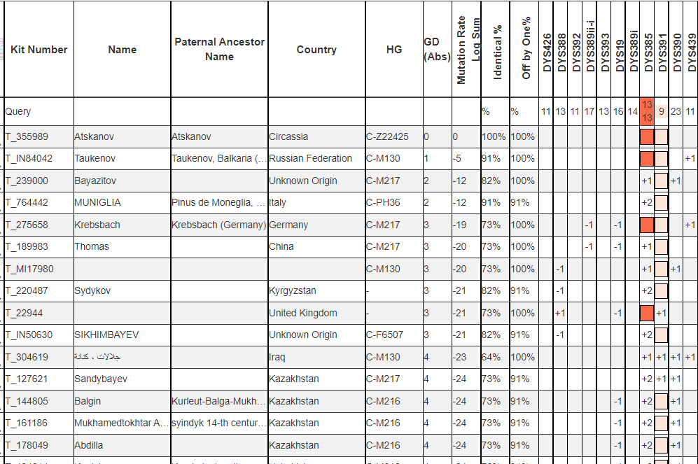 Ацканов список совпадений на Y12