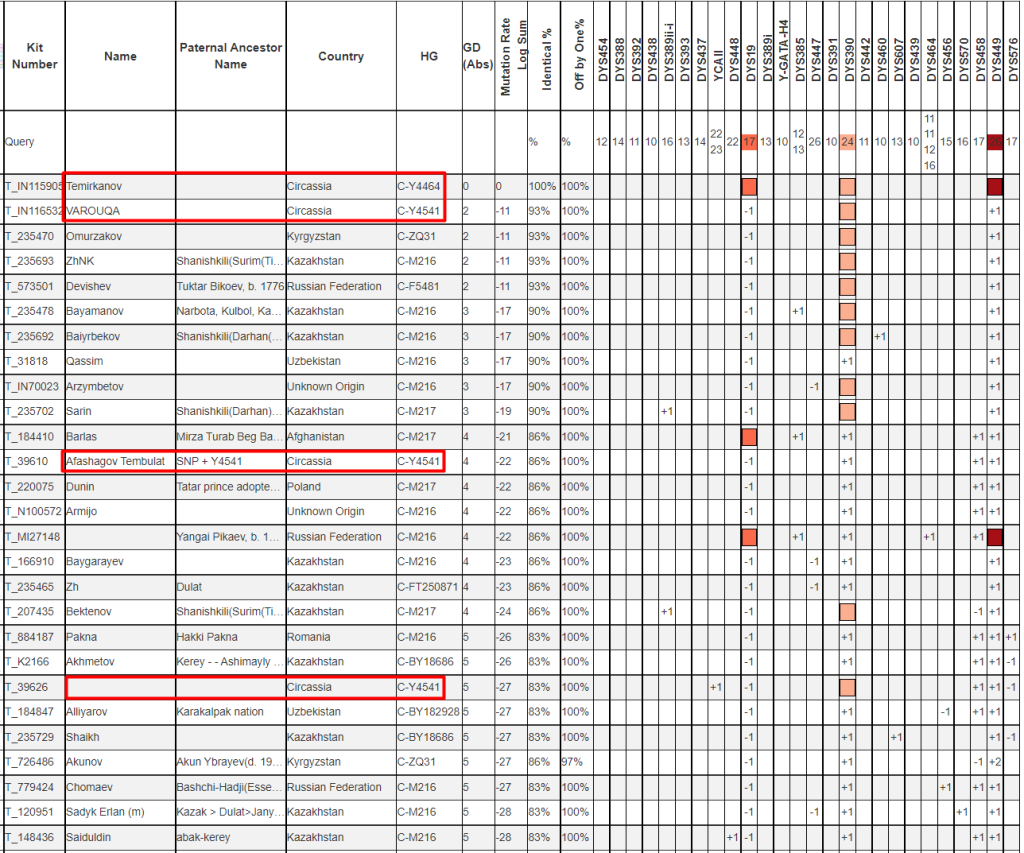 Темирканов список совпадений на Y12