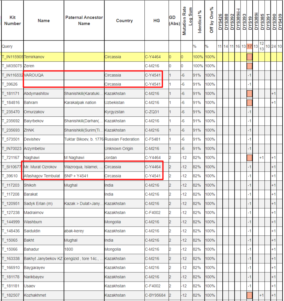 Темирканов список совпадений на Y12