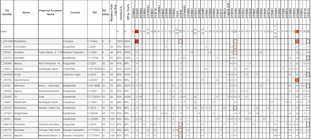 Темирканов список совпадений на Y111