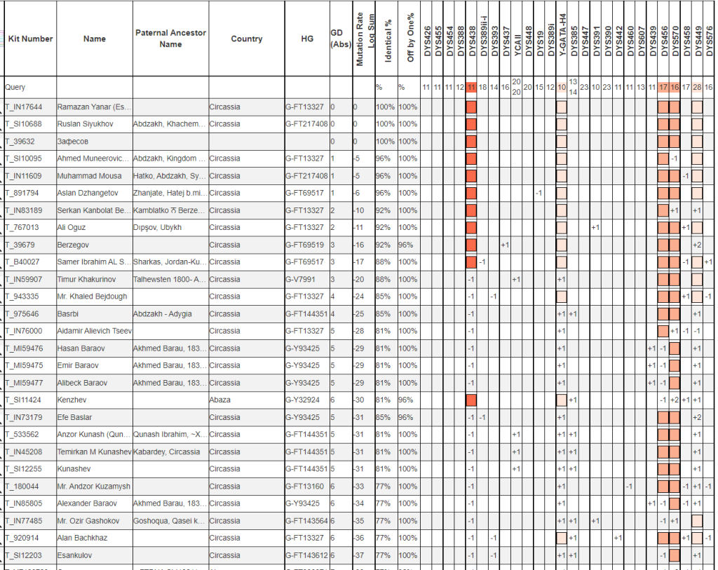 Зафесов Y37 -