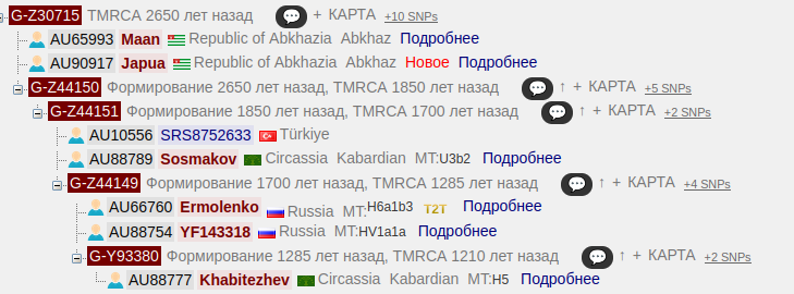 Древо TheYtree